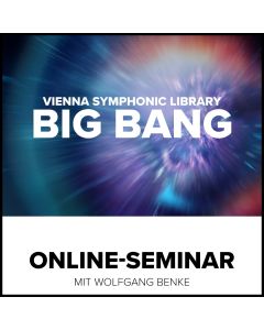 VSL Big Bang Praxis Online-Seminar